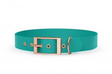 Dog Collar Adventure: Pastel green with Rosegold