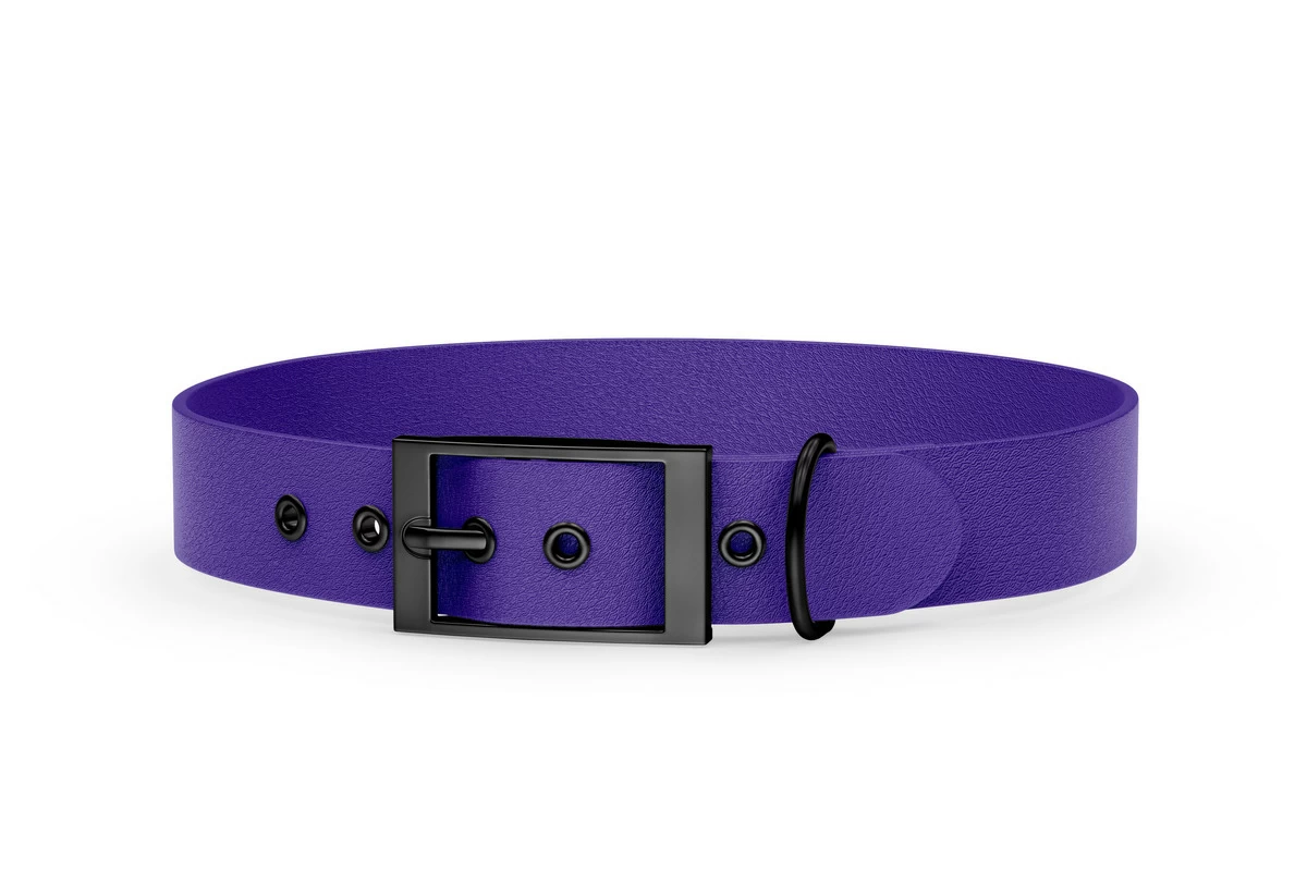 Dog Collar Adventure: Purple with Black