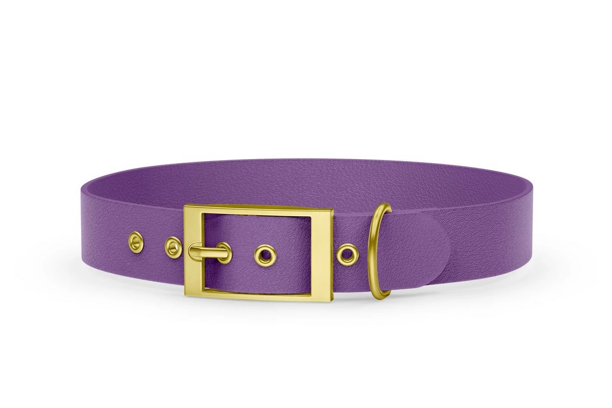 Dog Collar Adventure: Purpur with Gold