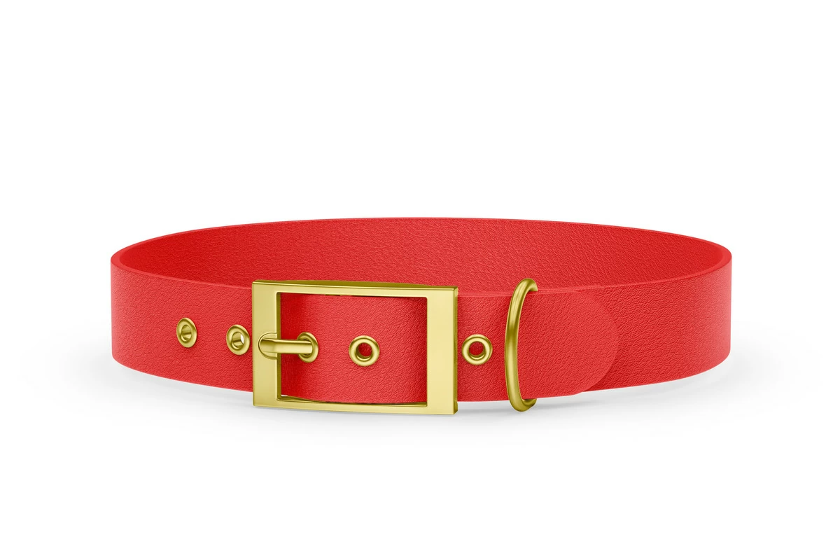 Dog Collar Adventure: Red with Gold