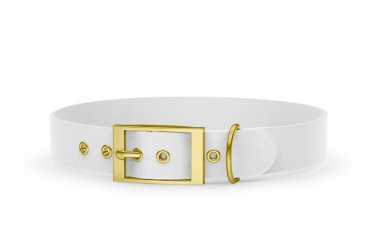 Dog Collar Adventure: White with Gold