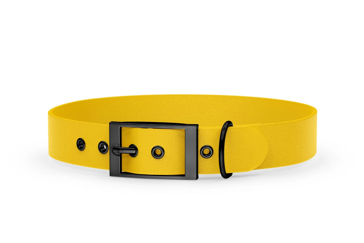 Dog Collar Adventure: Yellow with Black