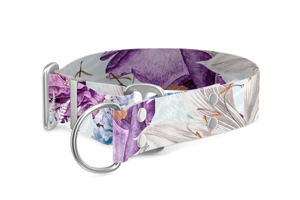 Martingale dog collar Collection Bloom