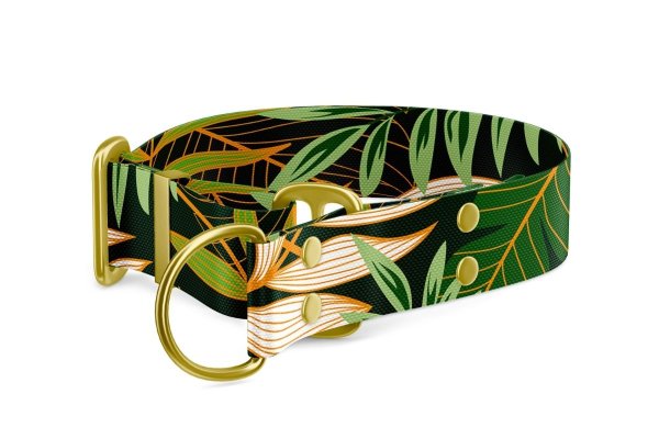 Martingale dog collar Collection Jungle
