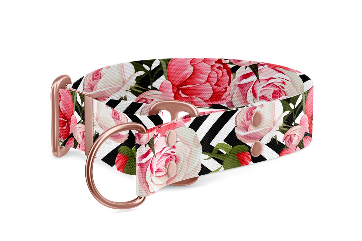 Martingale dog collar Collection Roses