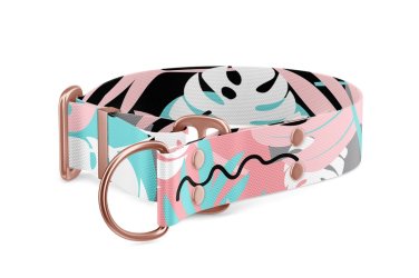 Martingale dog collar Collection Uno