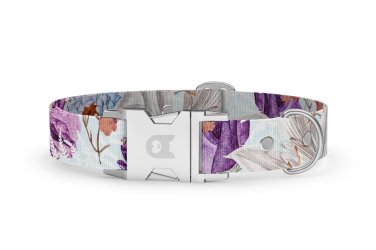 Dog collar Basic Collection Bloom