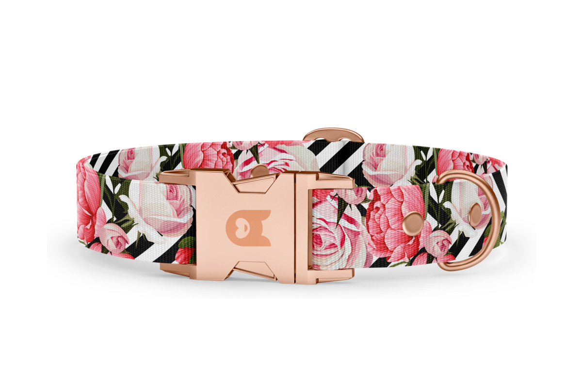 Dog collar Basic Collection Roses