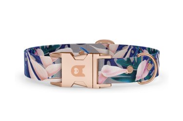 Dog collar Basic Collection Tropical