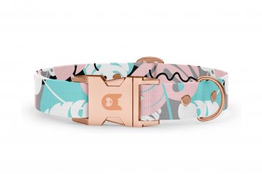 Dog collar Basic Collection Uno