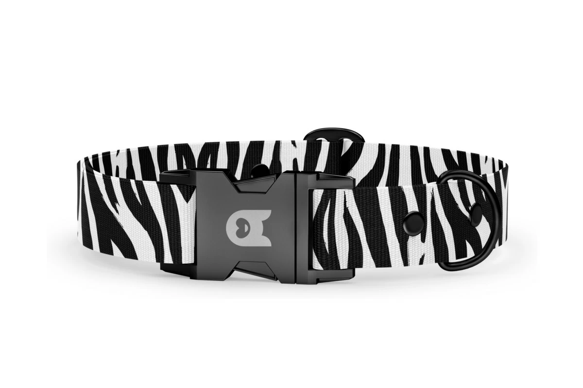 Dog collar Basic Collection Zebra