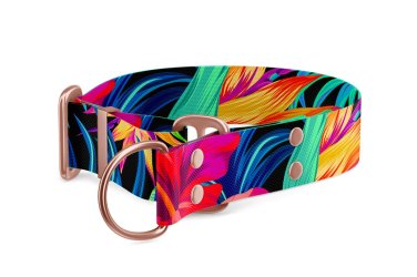 Martingale dog collar Collection Eden