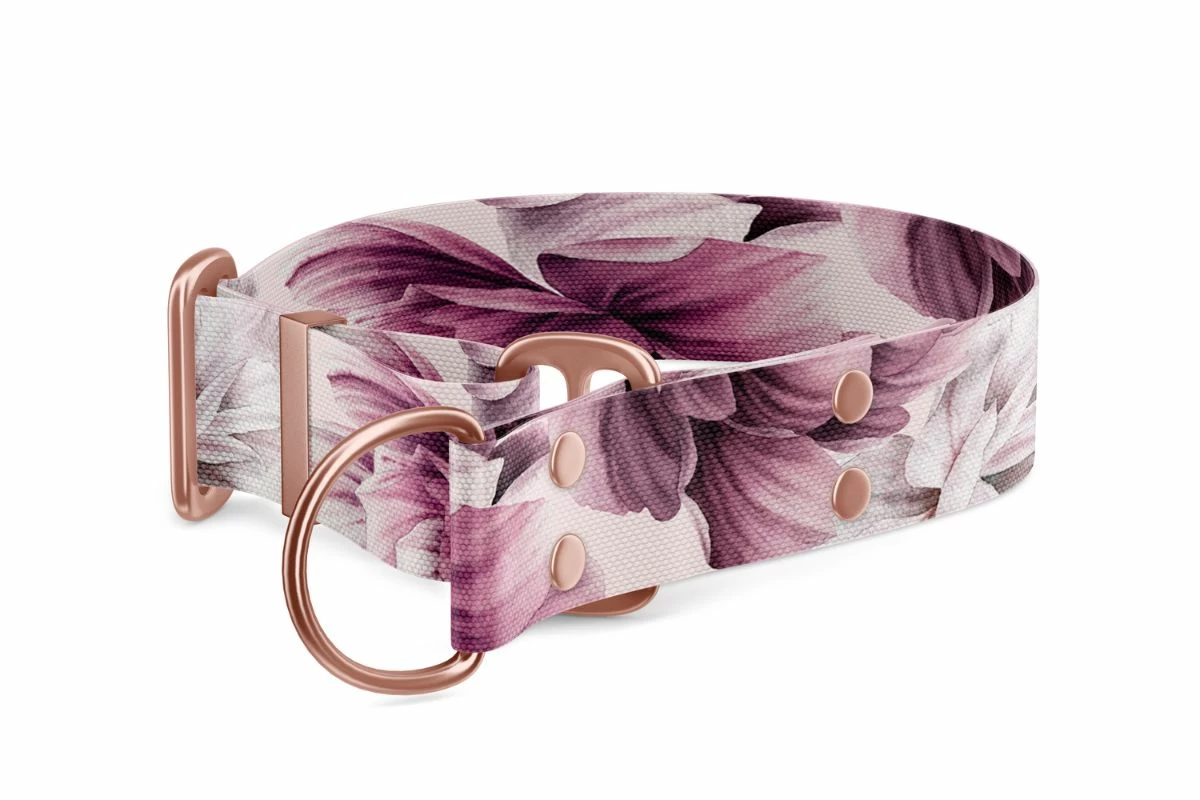 Martingale dog collar Collection Magnolia