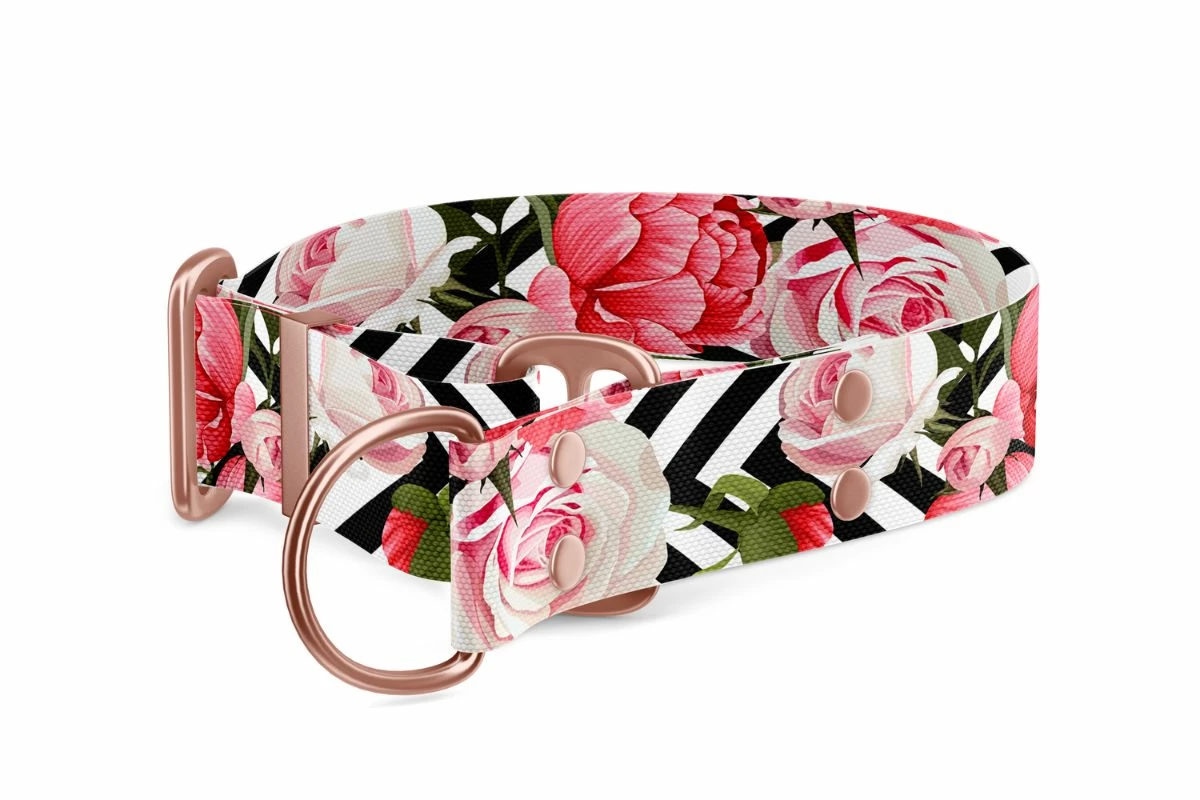 Martingale dog collar Collection Roses