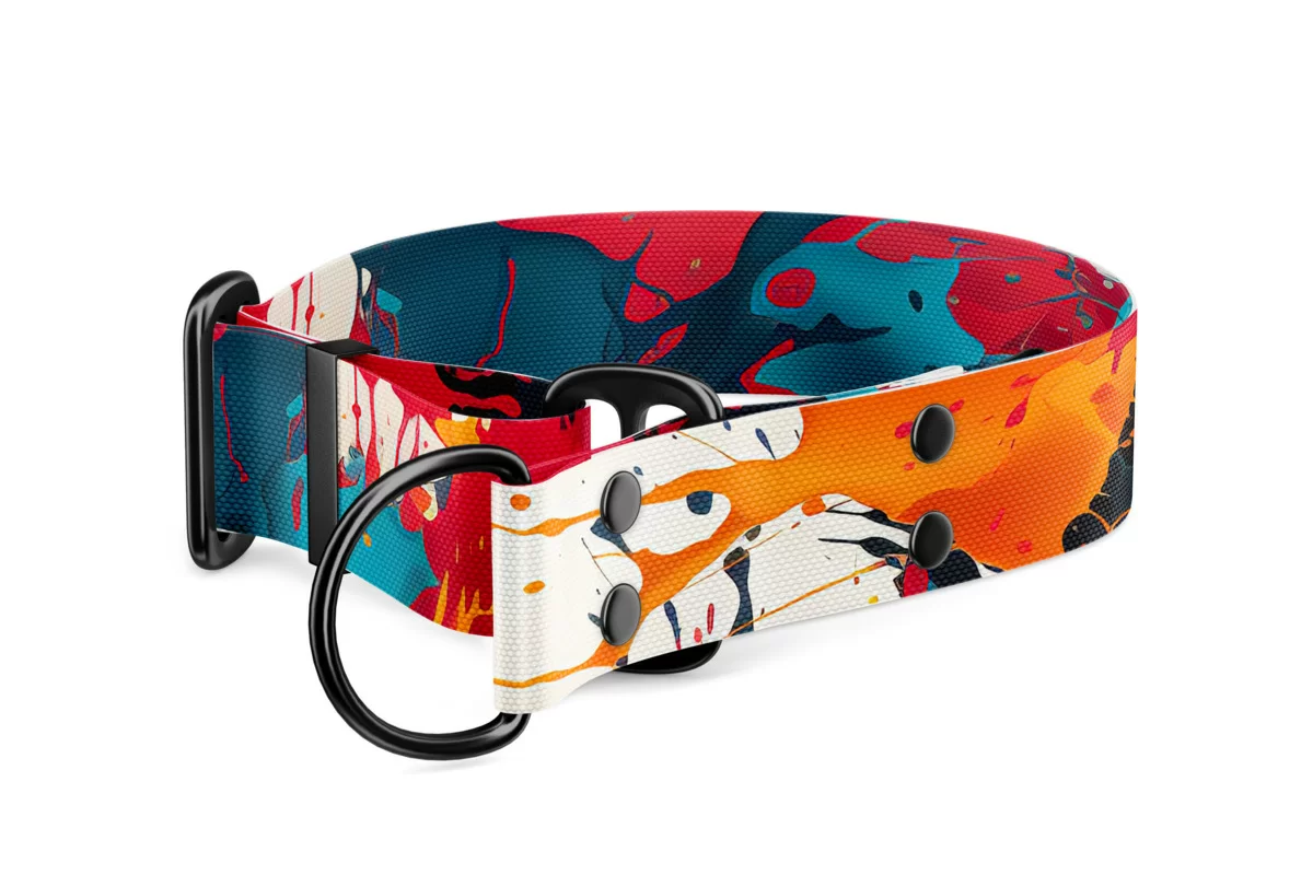 Martingale dog collar Collection Splash