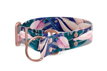 Martingale dog collar Collection Tropical