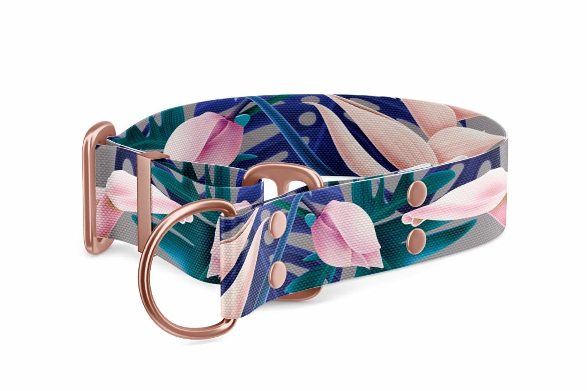 Martingale dog collar Collection Tropical