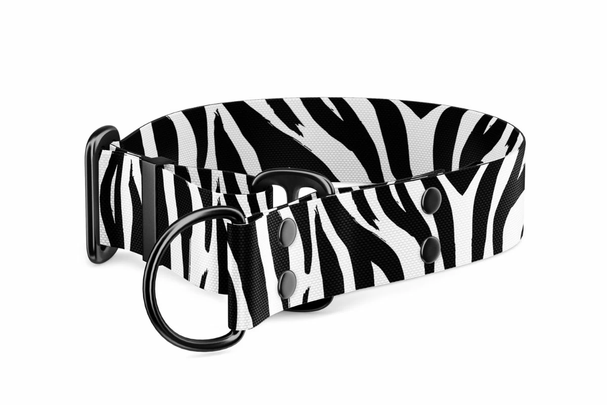 Martingale dog collar Collection Zebra