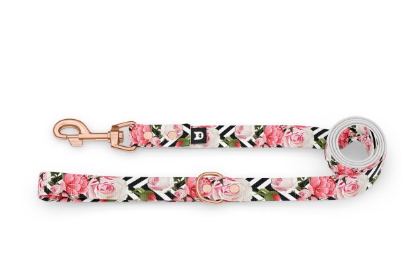 Dog leash Basic Collection Roses