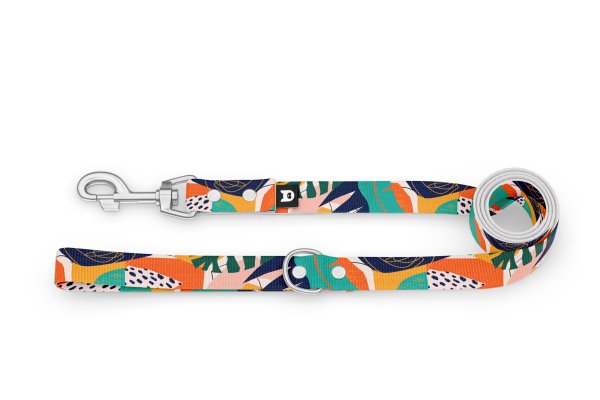 Dog leash Basic Collection Teal