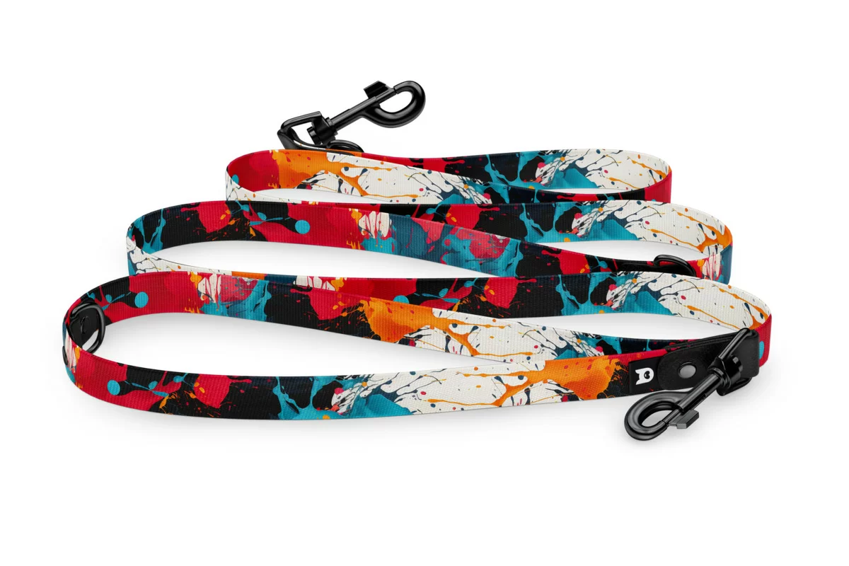 Dog leash Reduce Collection Splash