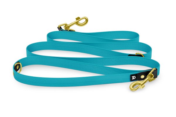 Dog Leash Reduce: Black & Pastel green with Gold components