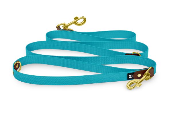 Dog Leash Reduce: Dark brown & Pastel green with Gold components