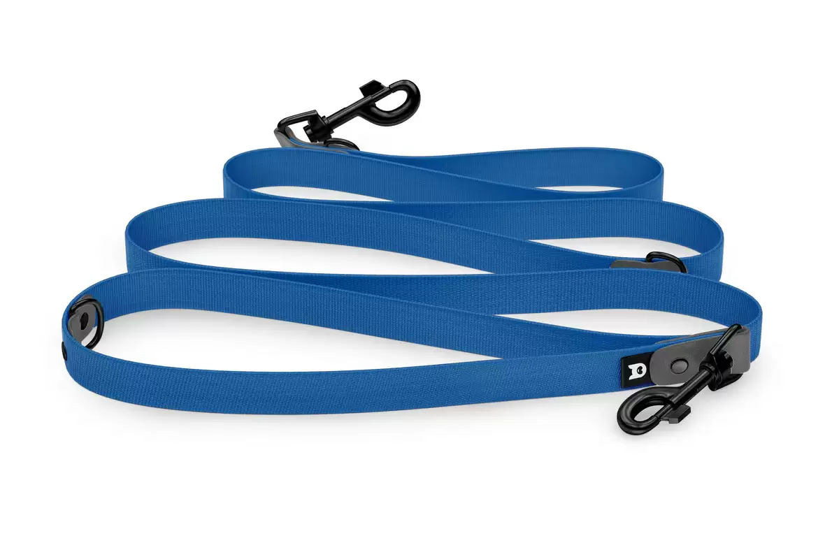 Dog Leash Reduce: Gray & Blue with Black components