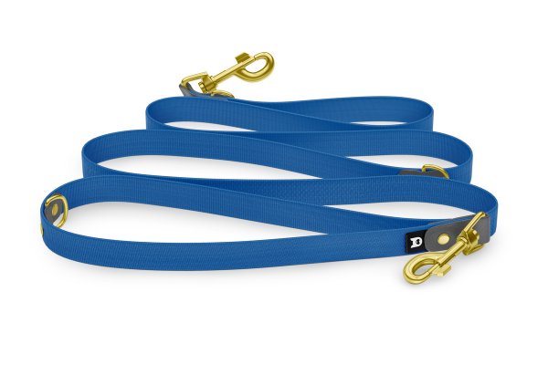 Dog Leash Reduce: Gray & Blue with Gold components