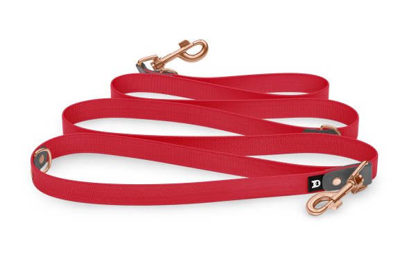 Dog Leash Reduce: Gray & Red with Rosegold components