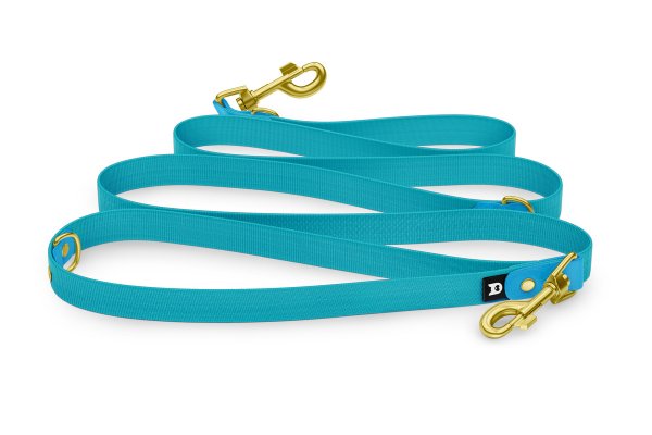 Dog Leash Reduce: Light blue & Pastel green with Gold components