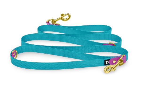 Dog Leash Reduce: Light purple & Pastel green with Gold components