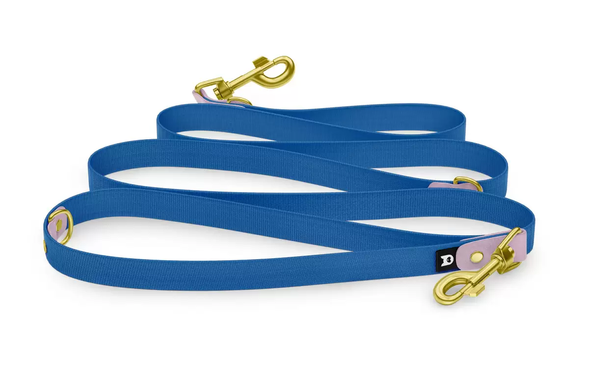 Dog Leash Reduce: Lilac & Blue with Gold components