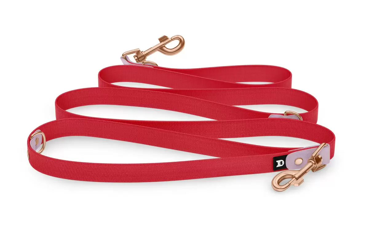 Dog Leash Reduce: Lilac & Red with Rosegold components