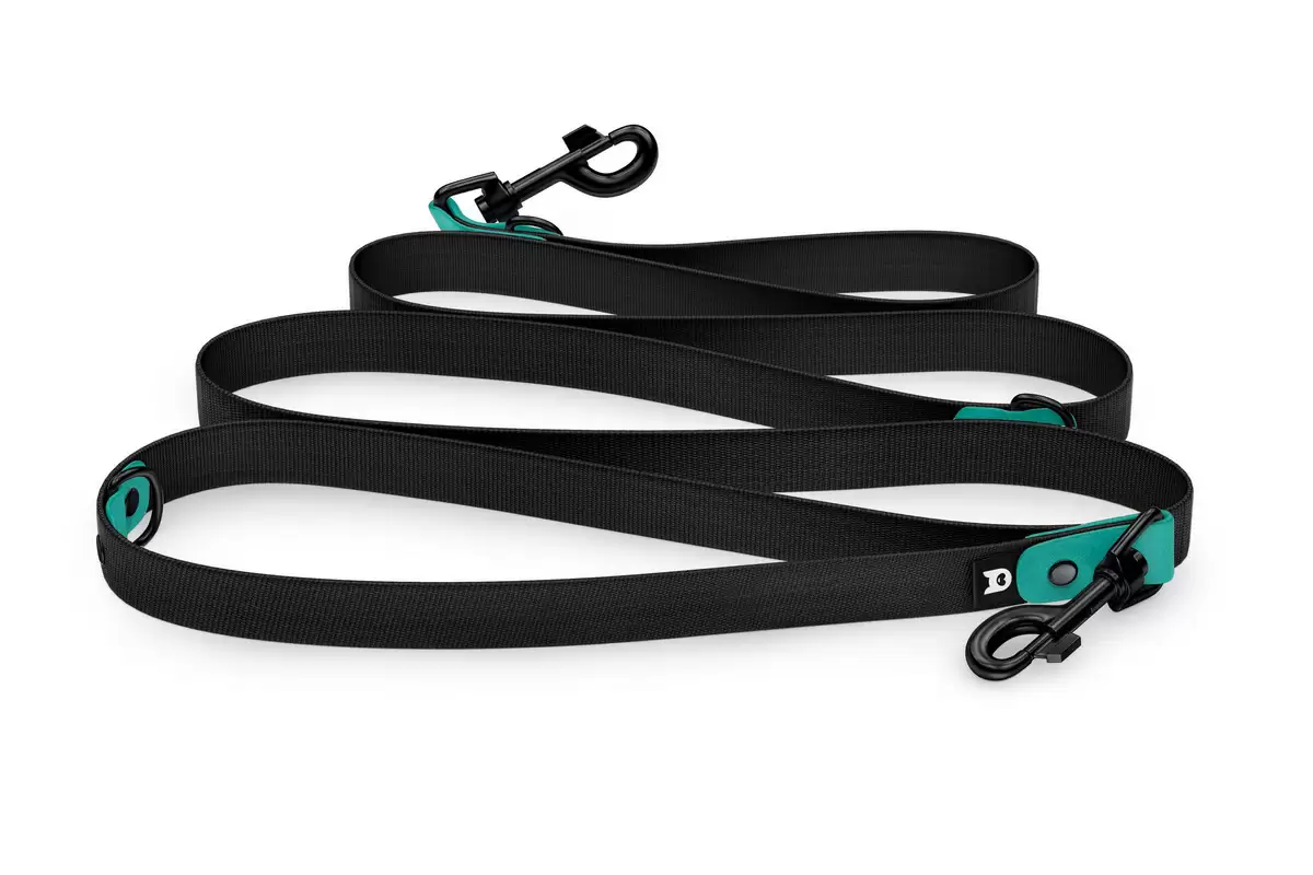 Dog Leash Reduce: Pastel green & black with Black components