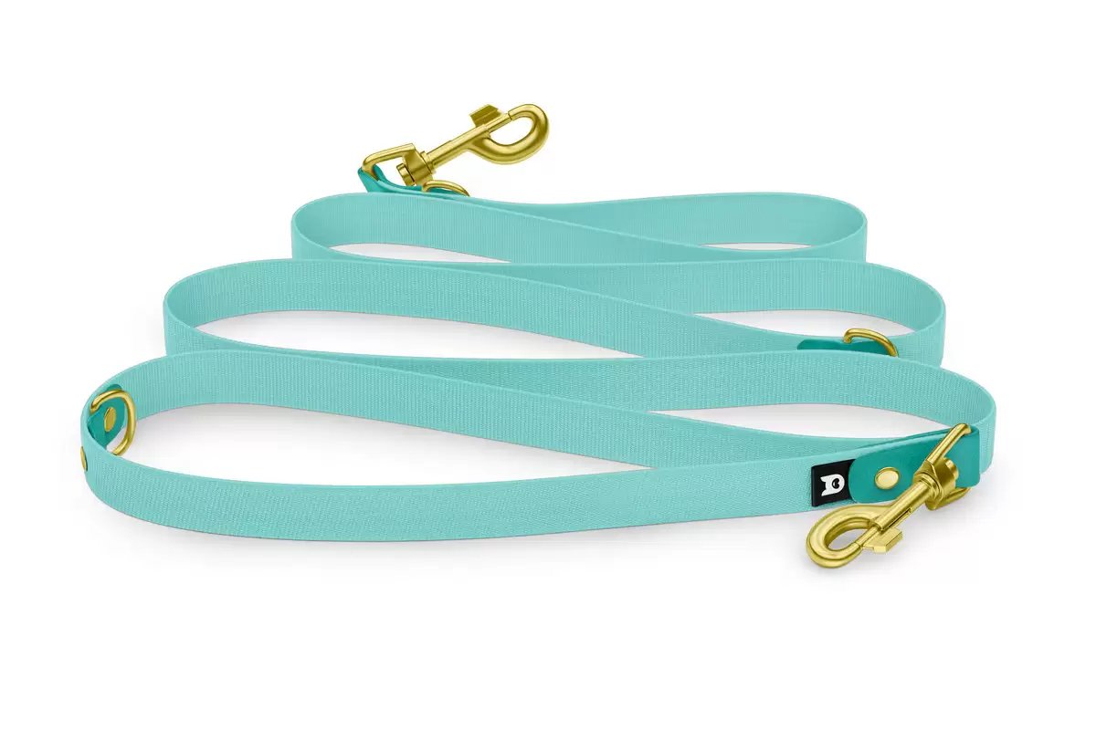 Adjustable dog Leash Reduce