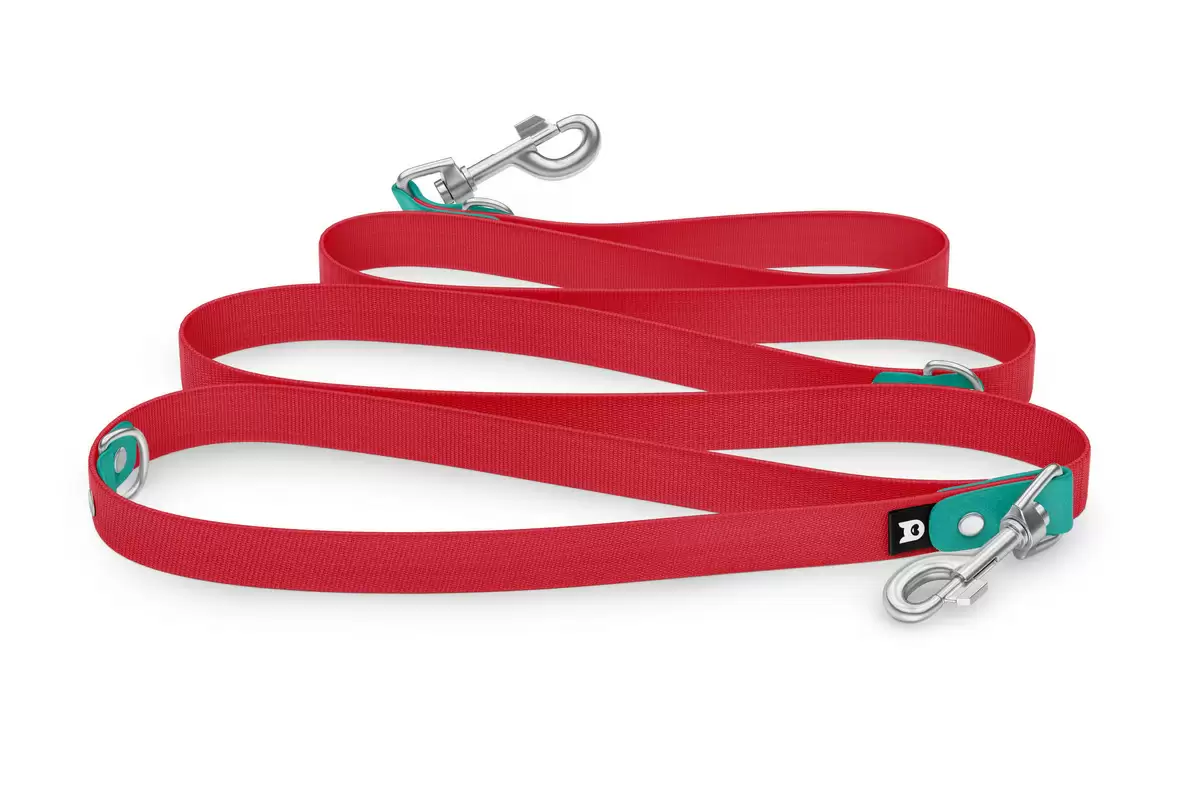 Dog Leash Reduce: Pastel green & Red with Silver components