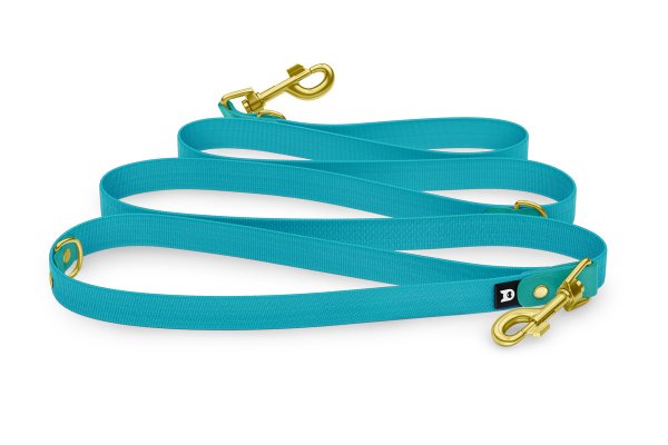 Dog Leash Reduce: Pastel green & Pastel green with Gold components