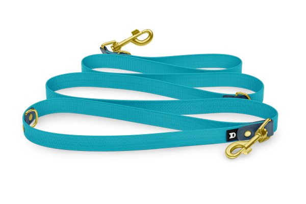 Dog Leash Reduce: Petrol & Pastel green with Gold components