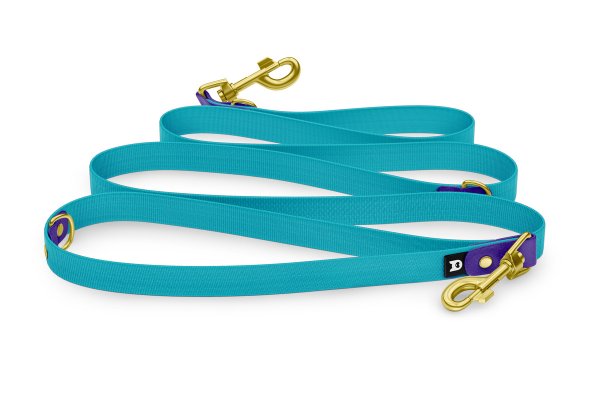 Dog Leash Reduce: Purple & Pastel green with Gold components