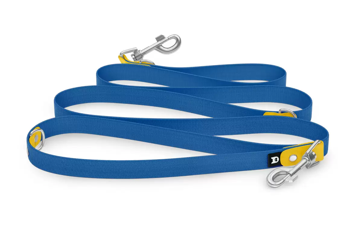 Dog Leash Reduce: Yellow & Blue with Silver components