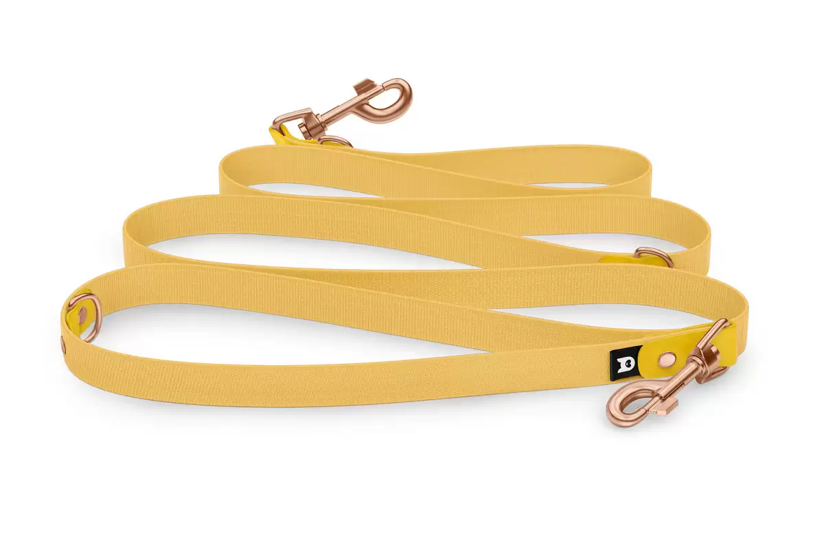 Adjustable dog Leash Reduce